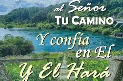 ¿CÓMO HA SIDO ESTE AÑO? ¿CÓMO SERÁ ESTE NUEVO AÑO? ¿CUÁNTAS BATALLAS? ¿CUÁNTAS VICTORIAS?