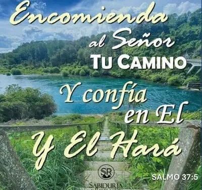 ¿CÓMO HA SIDO ESTE AÑO? ¿CÓMO SERÁ ESTE NUEVO AÑO? ¿CUÁNTAS BATALLAS? ¿CUÁNTAS VICTORIAS?