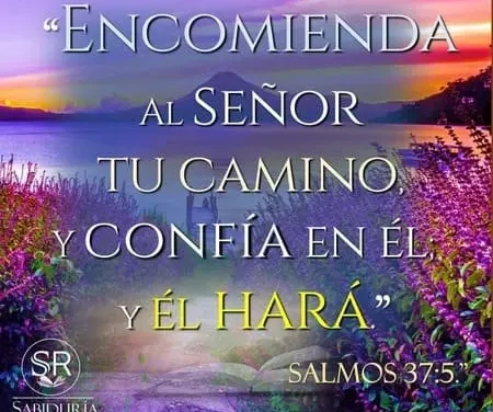 ENCOMENDAR Y CONFIAR