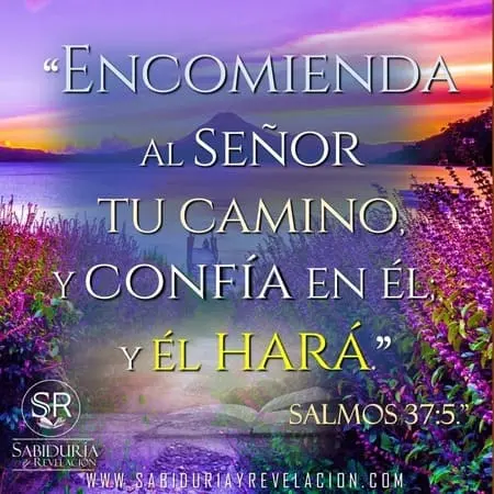 ENCOMENDAR Y CONFIAR
