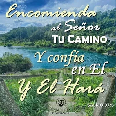 ¿CÓMO HA SIDO ESTE AÑO? ¿CÓMO SERÁ ESTE NUEVO AÑO? ¿CUÁNTAS BATALLAS? ¿CUÁNTAS VICTORIAS?