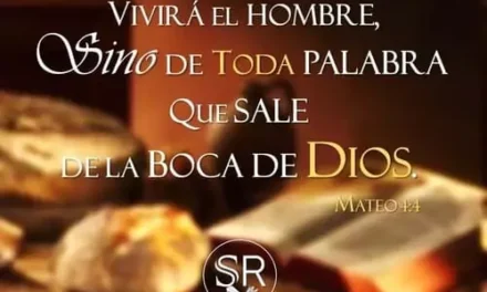 NO SOLO DE PAN SE VIVE